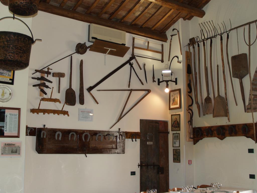 Agriturismo Le Clementine Badia Polesine Ngoại thất bức ảnh
