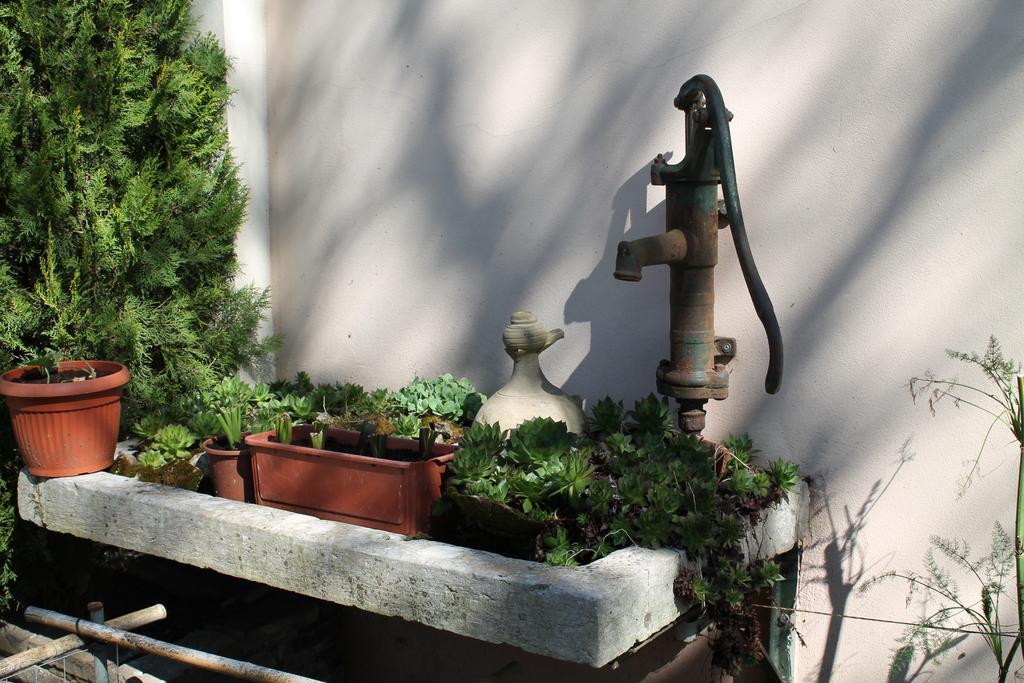 Agriturismo Le Clementine Badia Polesine Ngoại thất bức ảnh