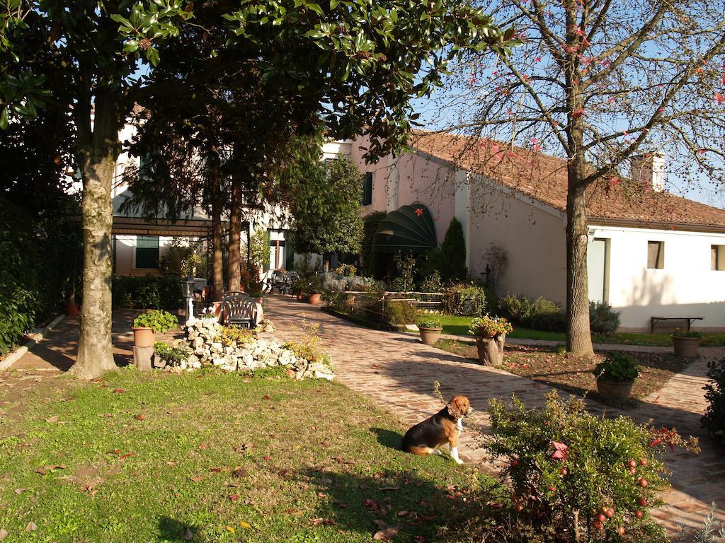 Agriturismo Le Clementine Badia Polesine Ngoại thất bức ảnh