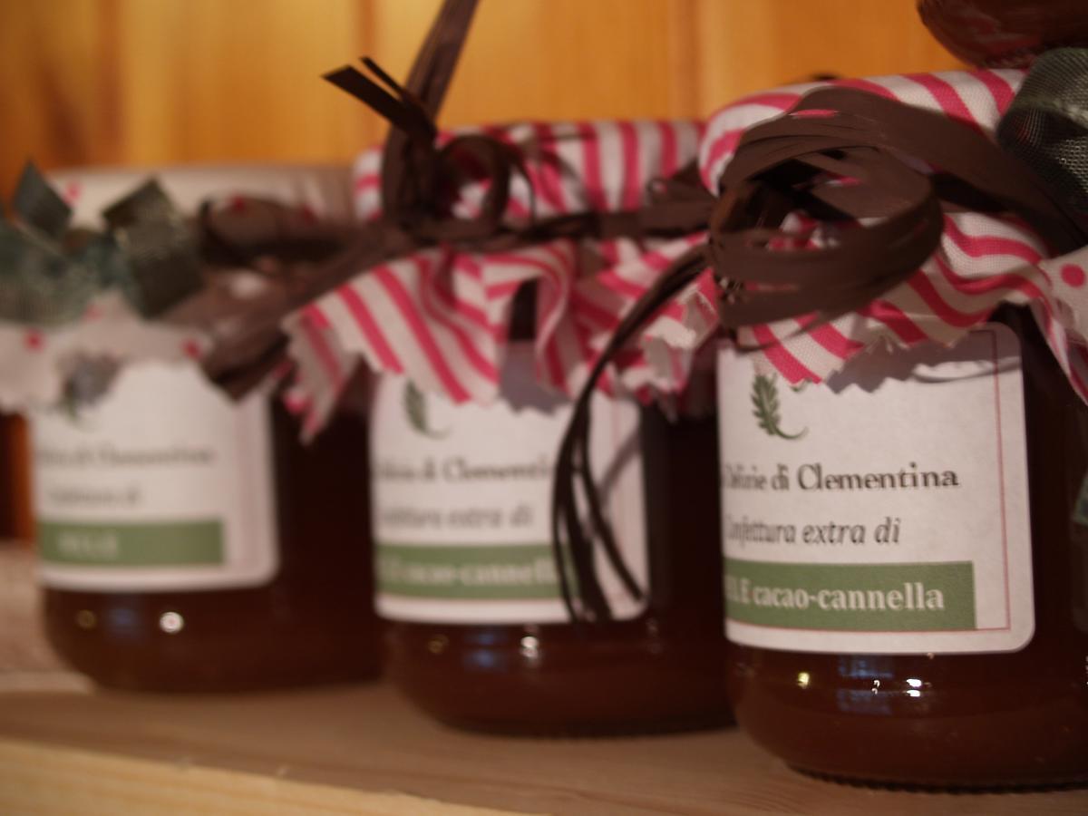 Agriturismo Le Clementine Badia Polesine Ngoại thất bức ảnh